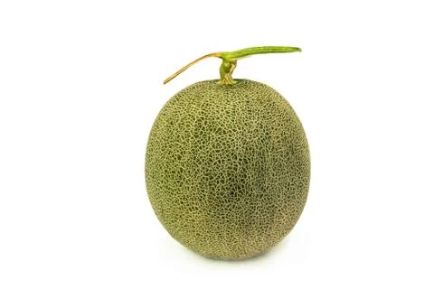 A melon isolated on white background Stock Photos