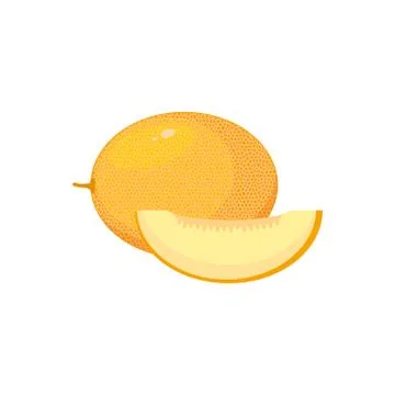 Melon isolated on white background. Vector illustration. Stock Illustration