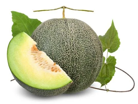 Melon isolated on white with clipping path Stock Photos