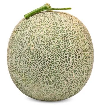 Melon isolated on white with clipping path Stock Photos