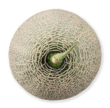 Melon isolated on white clipping path Stock Photos