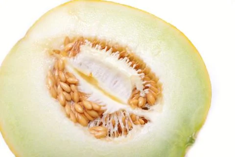Melon isolated on white Stock Photos