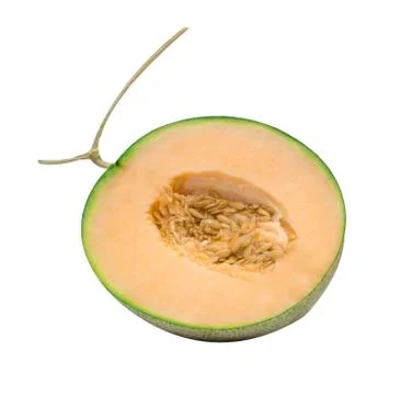 Melon isolated on white Stock Photos