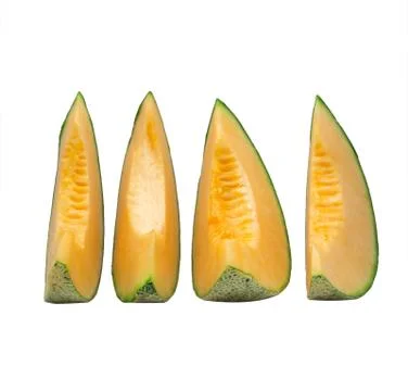 Melon isolated on white Stock Photos