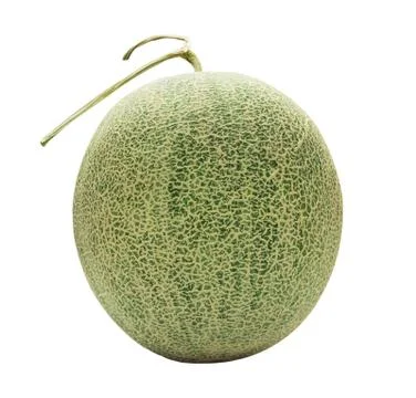 Melon isolated on white Stock Photos