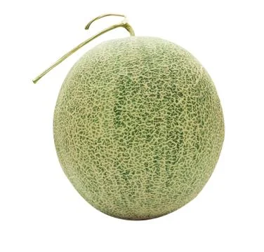 Melon isolated on white Stock Photos