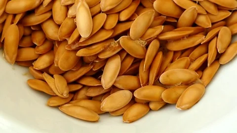 Melon kernels, melon seeds for sowing 스톡 동영상 101119718