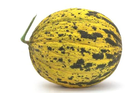 Melon over white Stock Photos