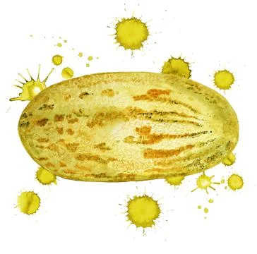 Melon with paint blots Stock Illustration