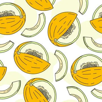 Melon Pattern seamless on white background Vector 库存插图