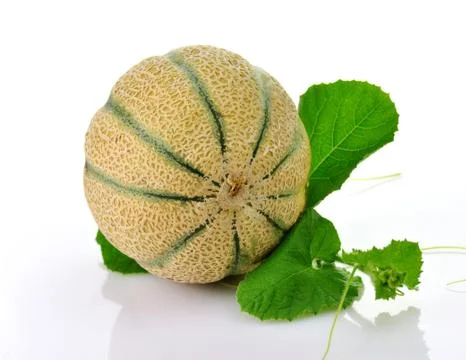 Melon Stock Photos