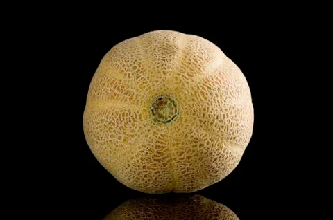 Melon Stock Photos