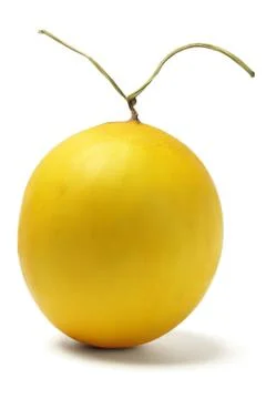 Melon Stock Photos