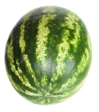 Melon Stock Photos