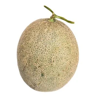 Melon Stock Photos