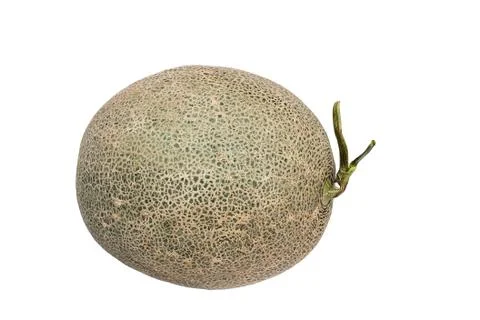 Melon Stock Photos