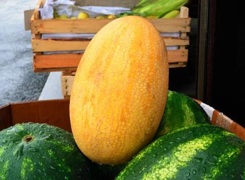 Melon Stock Photos
