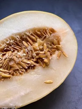 Melon Stock Photos