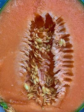 Melon Stock Photos