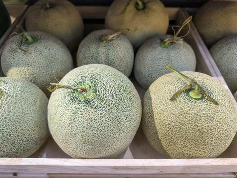 Melon Foto stock