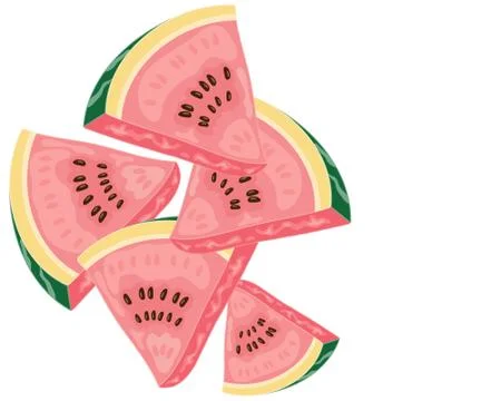 Melon pieces Stock Illustration