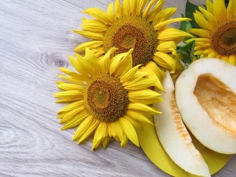 Melon in a plate on a table with sunflowers Stock Photos