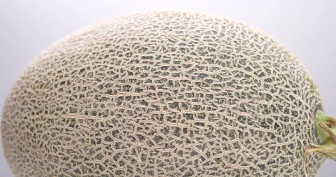 Melon rotating, Cantaloupe melon on gray background Stock Footage 138183372
