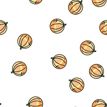 Melon round cantaloupe vector seamless pattern Stock Illustration