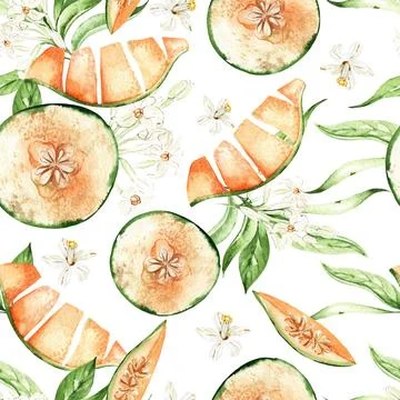 Melon, seamless patterns on a white background, watercolor illustration Stock Illustration