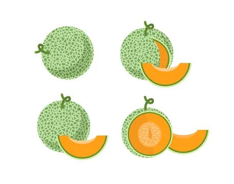 Melon set. Whole, sliced, half of green melon with ogange pulp. Stock Illustration