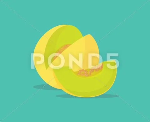 Melon single isolated object with vector graphic Stock Illustration