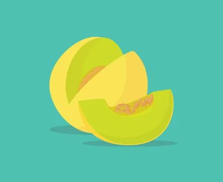 Melon single isolated object with vector graphic Stock-Illustration