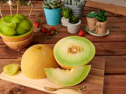 Melon slice dish Stock Photos