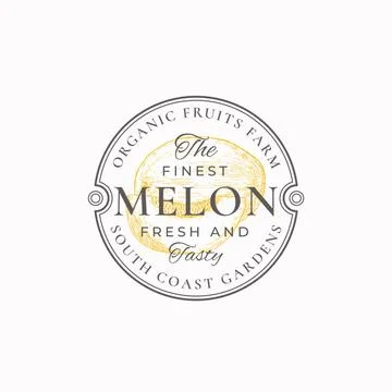 Melon with a Slice Frame Badge or Logo Template. Hand Drawn Fruit Sketch with Stock Illustration