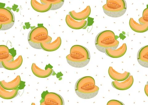 Melon slice seamless pattern on white background with seed, Fresh cantaloupe  Stock Illustration