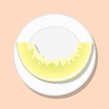 Melon slice yellow green fruit, healthy diet meal on plate. Vector illustration Stock Illustration