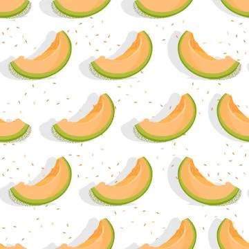 Melon sliced seamless pattern on white background with shadow, Fresh cantalou Stock Illustration