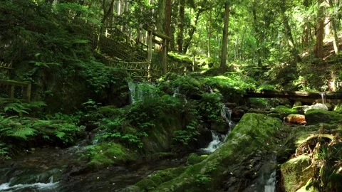 Melon Split Falls Vídeos de archivo 332245428