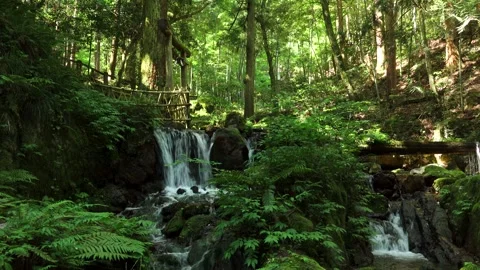 Melon Split Falls Vídeos de archivo 332245456