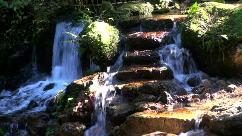 Melon Split Falls Vídeos de archivo 332412856