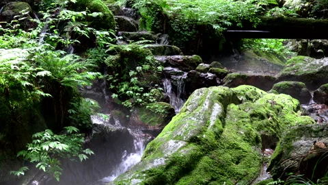 Melon Split Falls Stock Footage 332417107