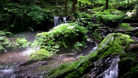 Melon Split Falls Stock Footage 332417120