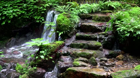 Melon Split Falls Stock Footage 332417148