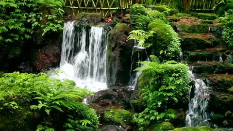 Melon Split Falls Stock Footage 332551337