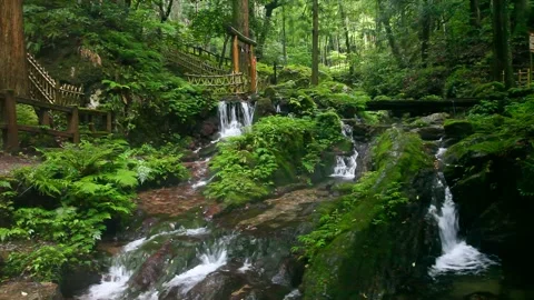 Melon Split Falls Stock Footage 332551344