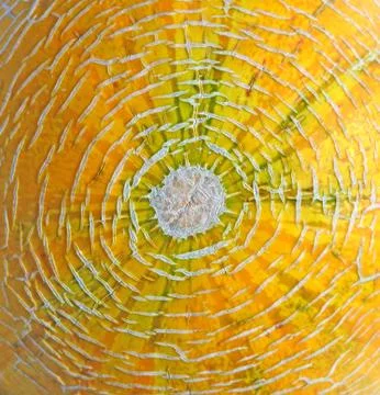 Melon surface fragment Stock Photos
