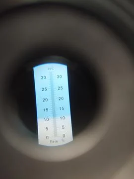 Melon Sweetness Test with Refractometer Stock Photos