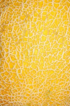 Melon texture Stock Photos