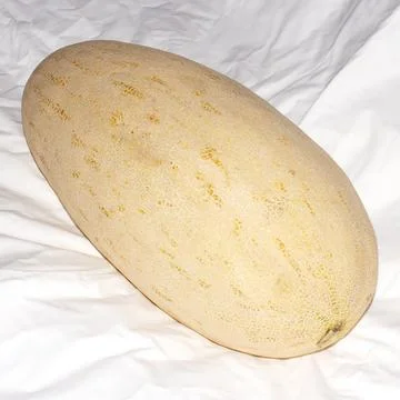 Melon torpedo oblong shape on a white background.Melon of Uzbekistan. Stock Photos