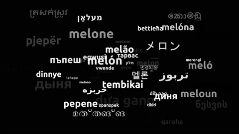 Melon Translated in 60 Worldwide Languages Endless Looping 3d Zooming Wordclo Stock-Footage 145203954